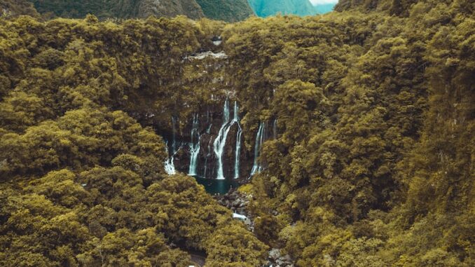 uploaded-image-sosyal-imza-ile-dijital-kimlik-onayi-1697882215721